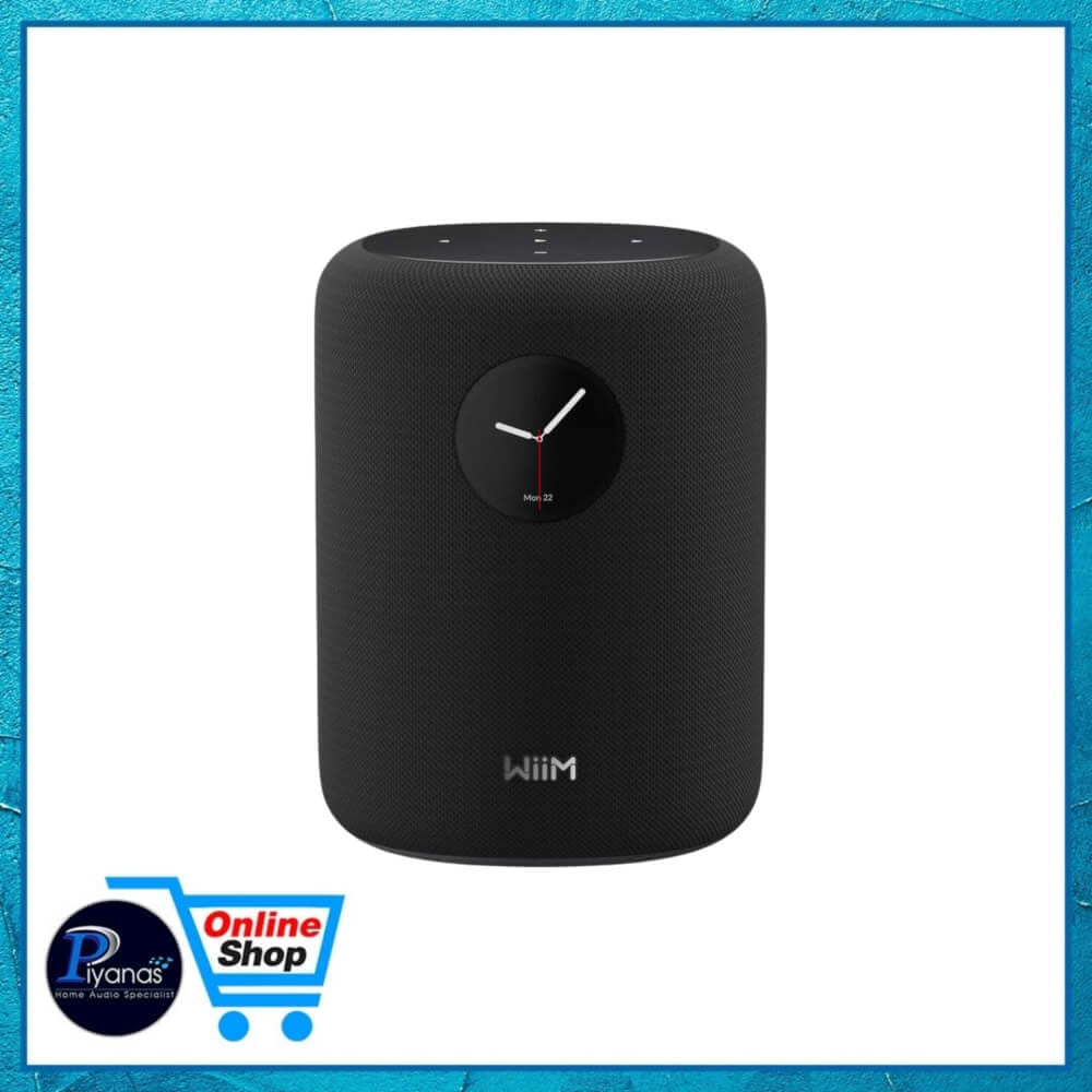 ลำโพงบลูทูธไร้สาย WIIM : SOUND (BLACK)